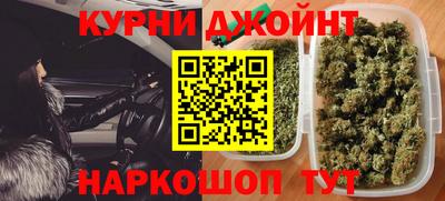 прущие грибы Можайск