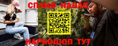 прущие грибы Можайск
