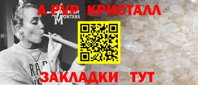 прущие грибы Можайск