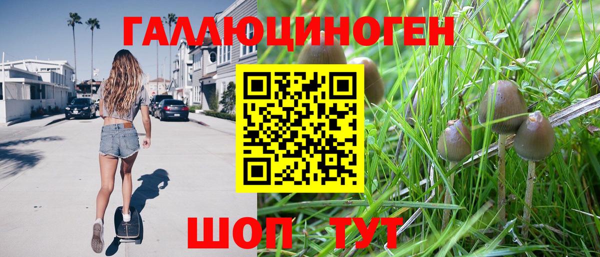 Верхняя Салда  Псилоцибиновые грибы Magic Shrooms  Вход с VPN 